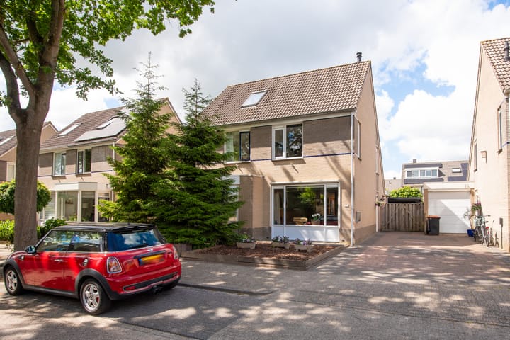 Dubloen 124