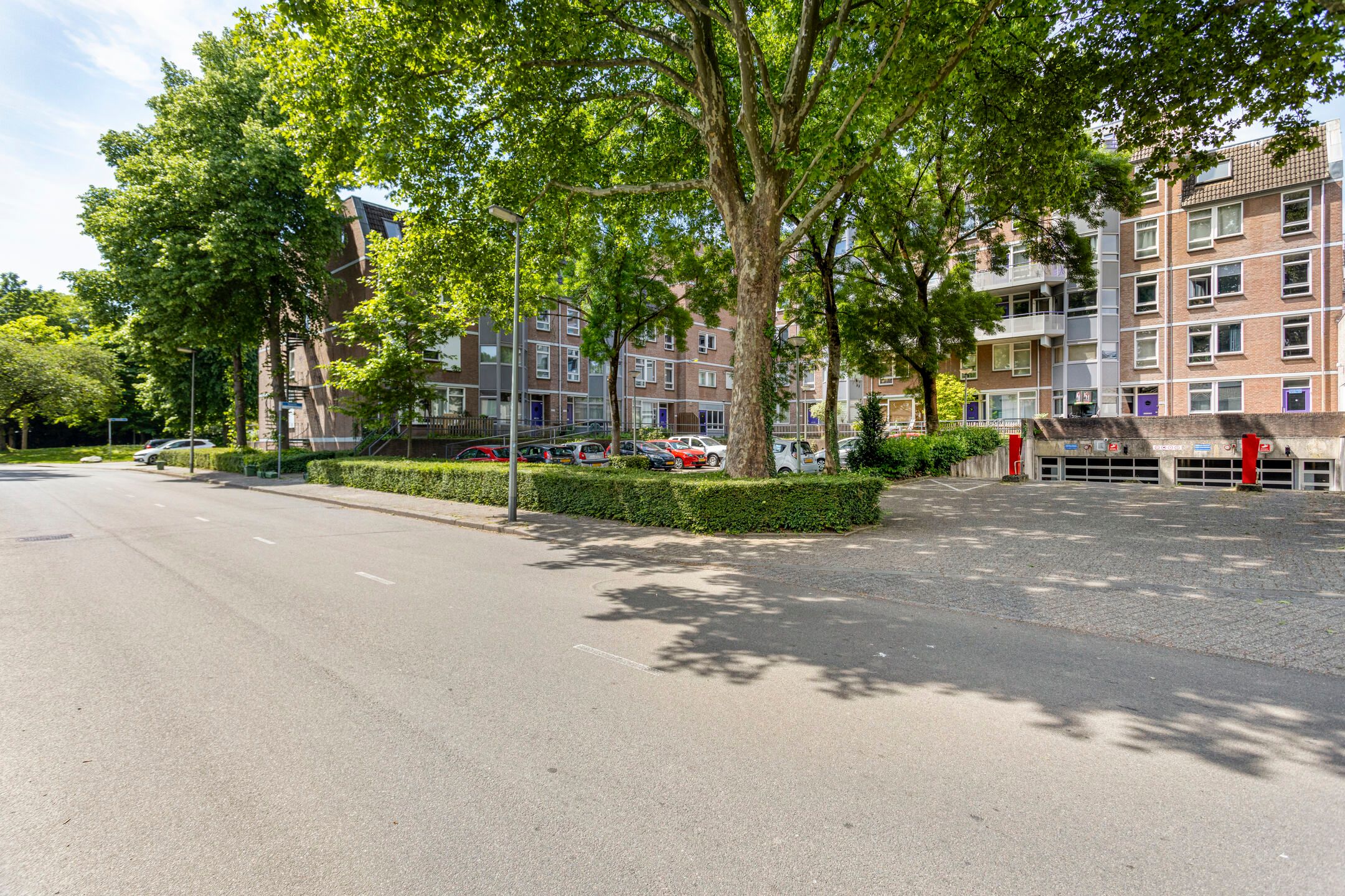 Foto 30 van Roserije 207-E