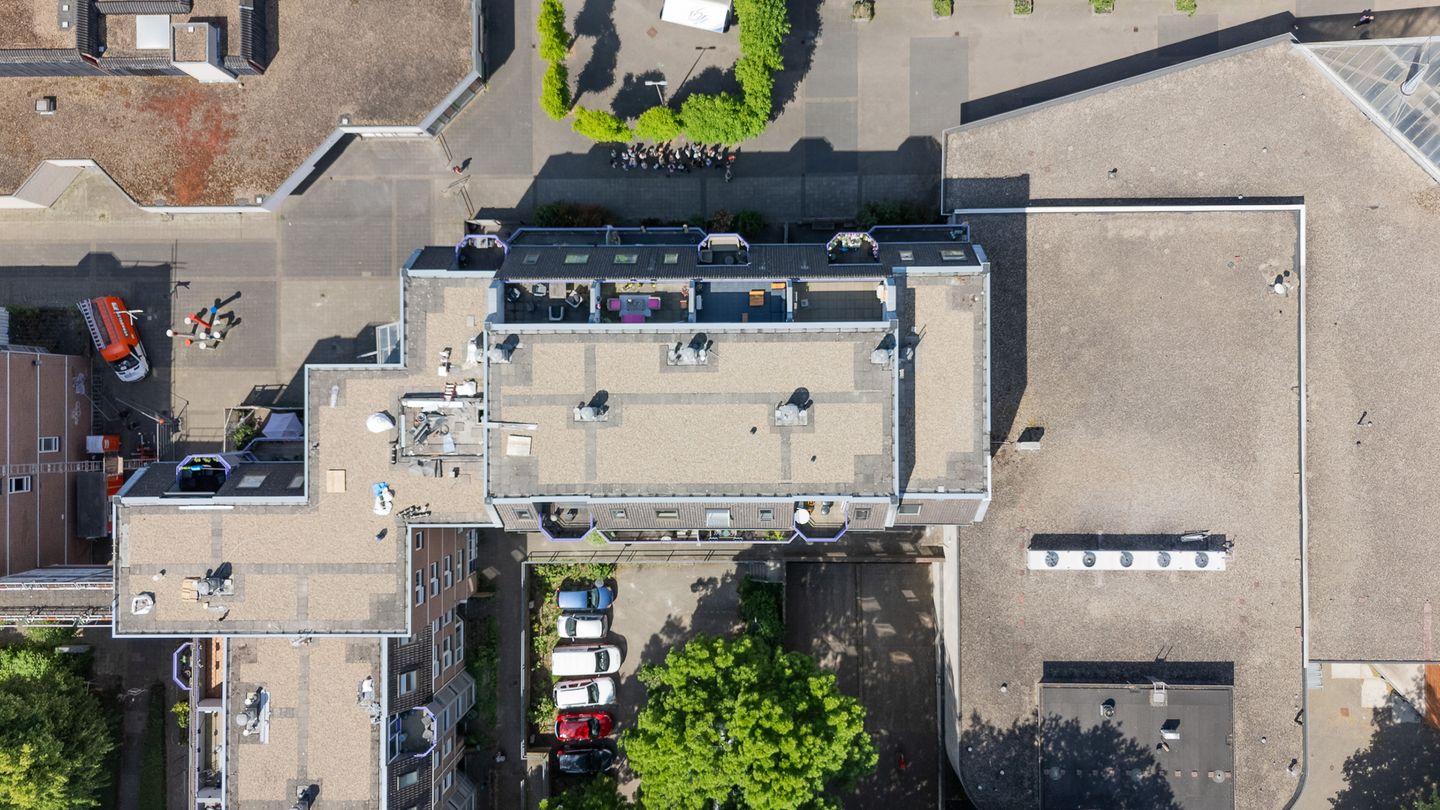 Foto 35 van Roserije 207-E