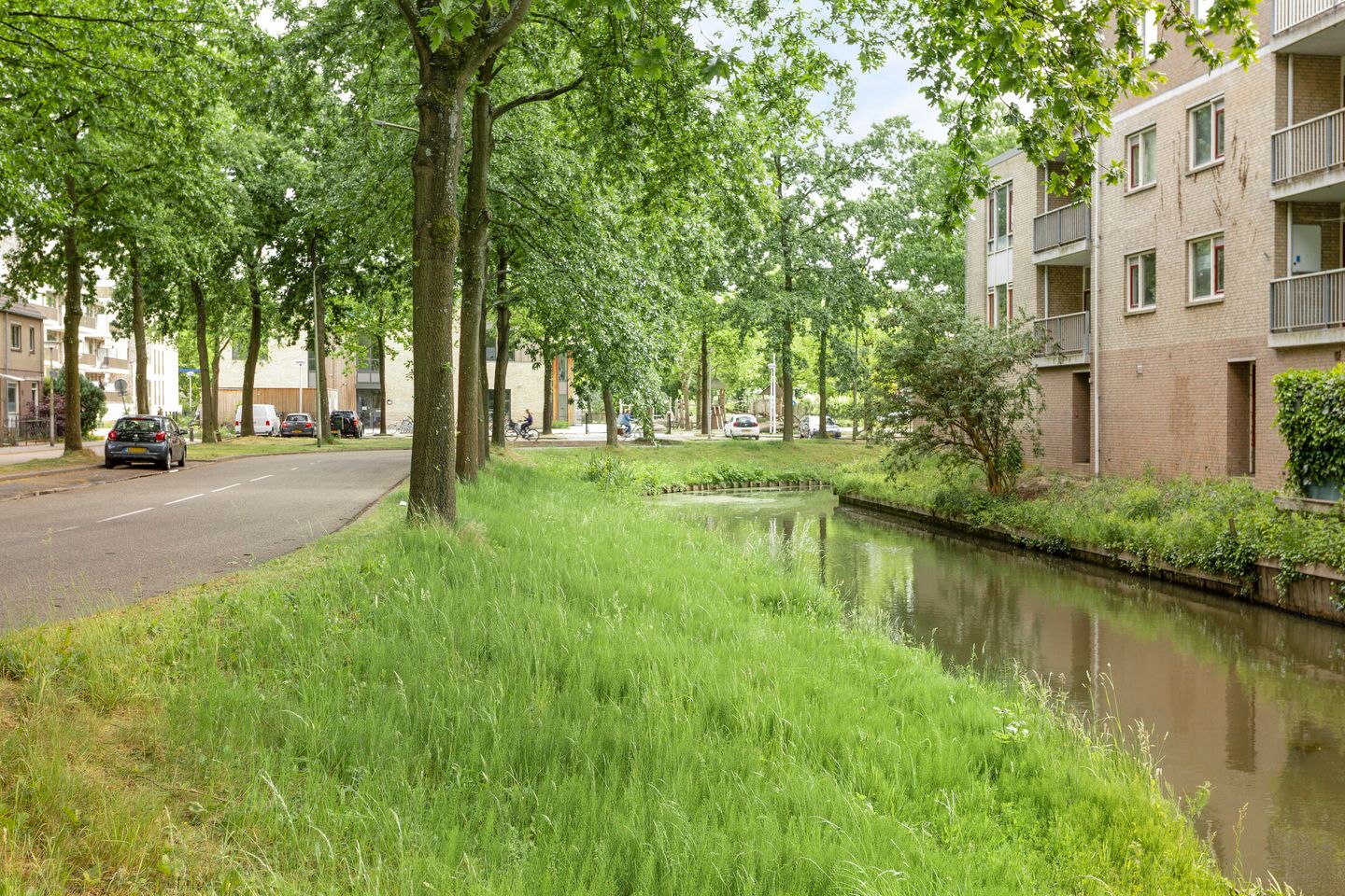 Foto 20 van Abraham Blankaartsingel 93