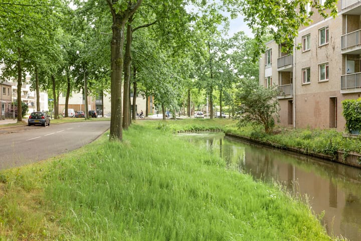 Foto 20 van Abraham Blankaartsingel 93