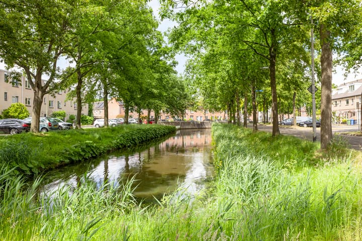 Foto 21 van Abraham Blankaartsingel 93