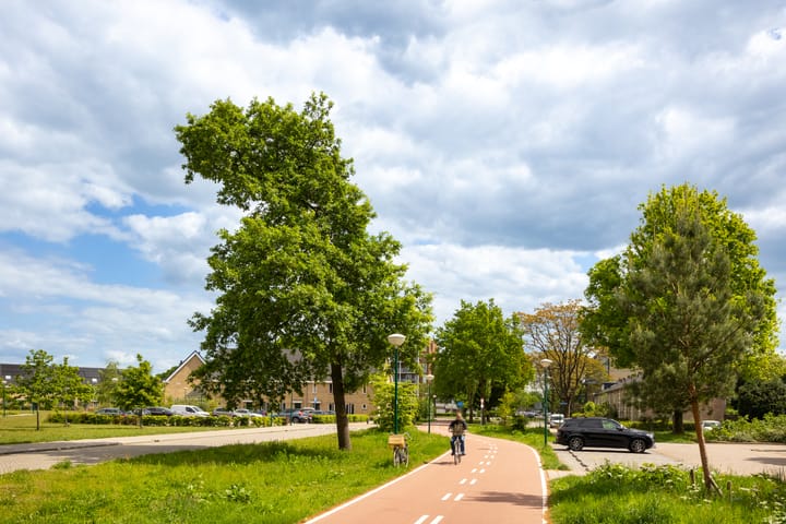 Foto 33 van Kometenlaan 148