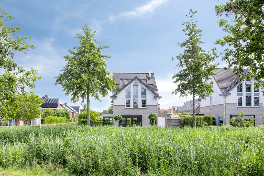 Photo 1 of Valeriaan 35