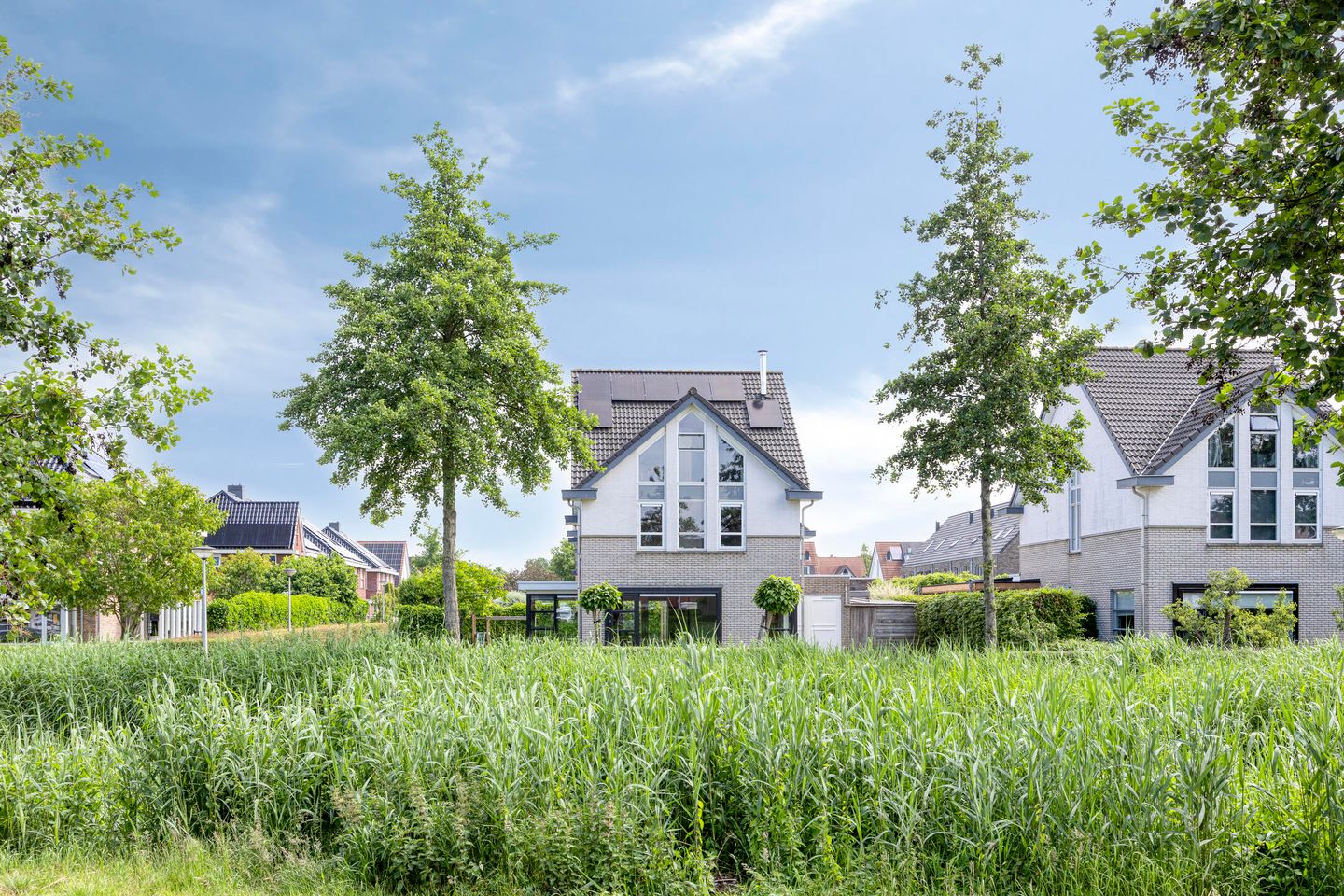 Foto 1 van Valeriaan 35