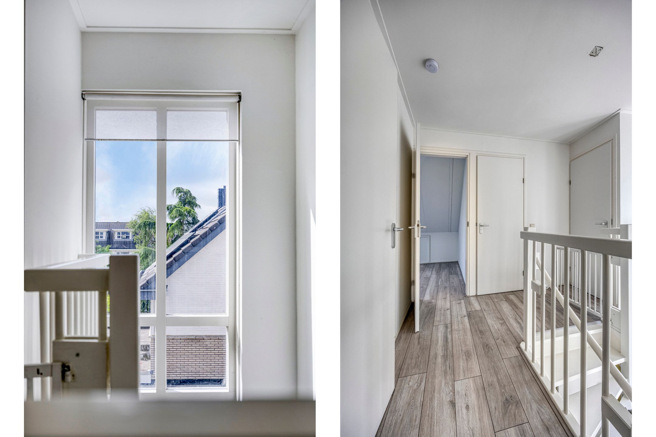 Photo 18 of Valeriaan 35