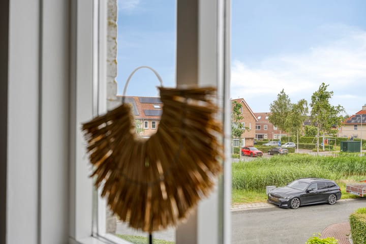 Foto 21 van Valeriaan 35