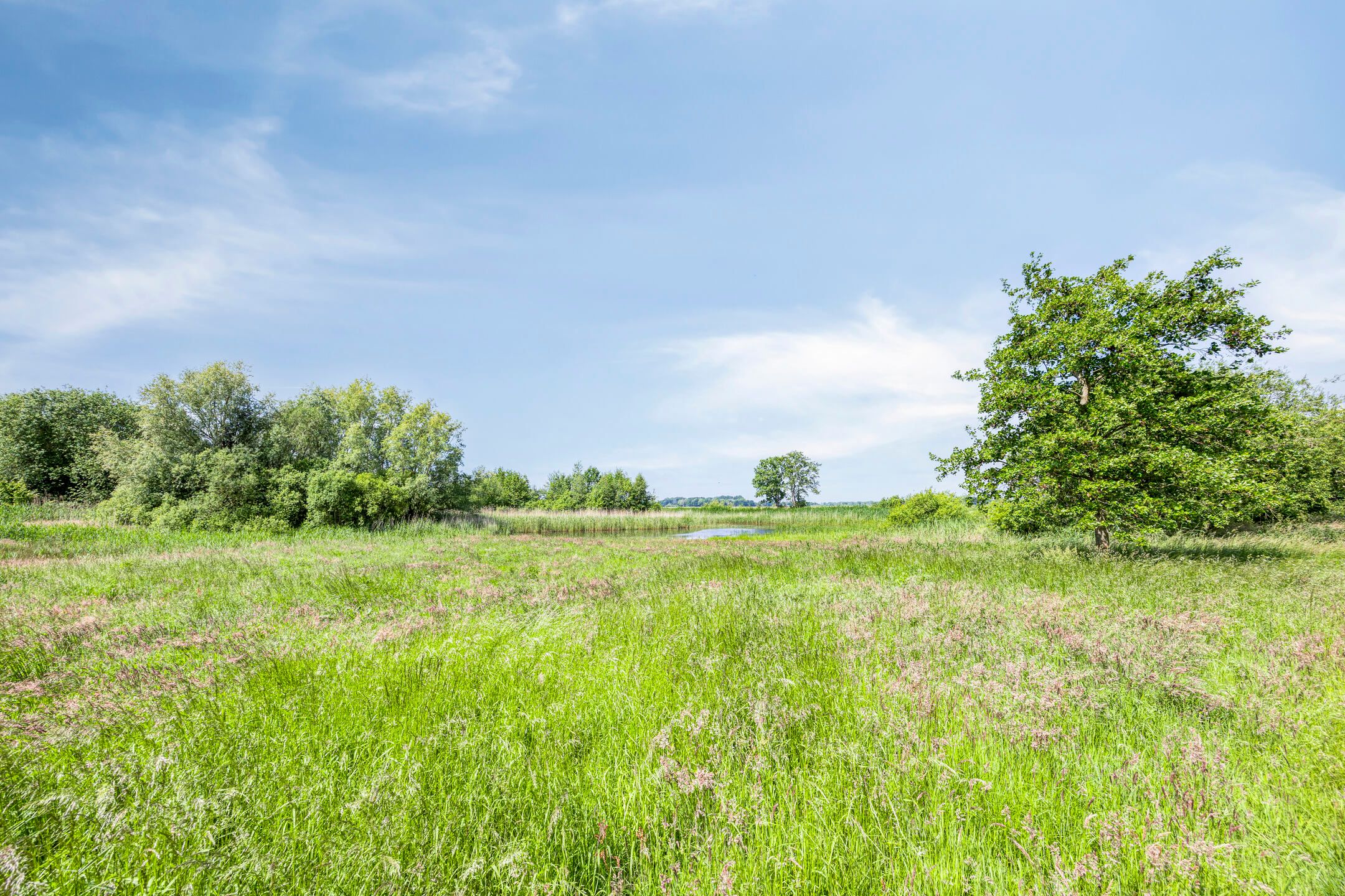 Photo 57 of Valeriaan 35