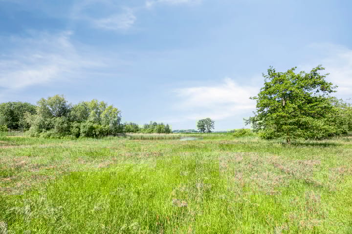 Foto 57 van Valeriaan 35