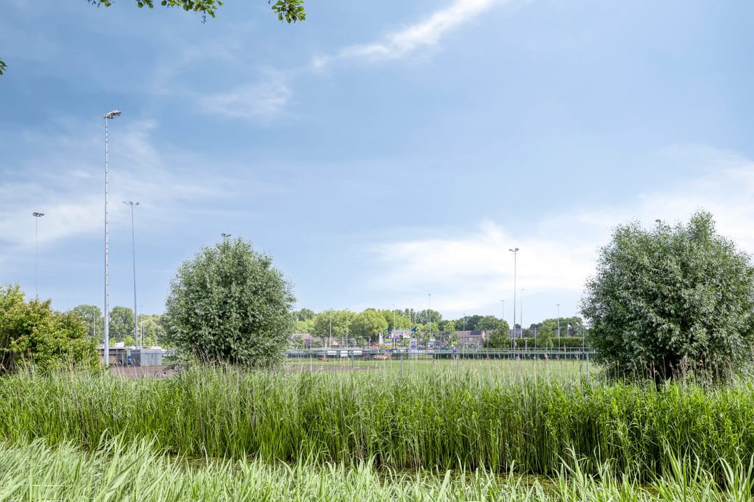 Photo 58 of Valeriaan 35