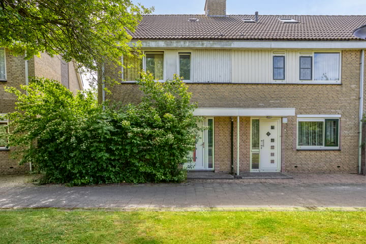 undefined main image