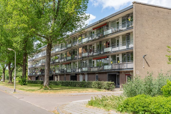 Photo 1 of Spreeuwenstraat 265