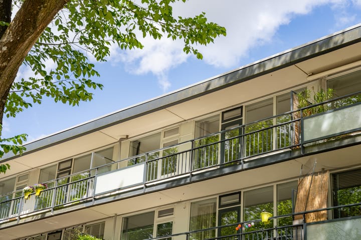 Foto 18 van Spreeuwenstraat 265