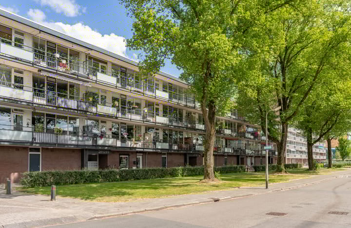 Foto 19 van Spreeuwenstraat 265