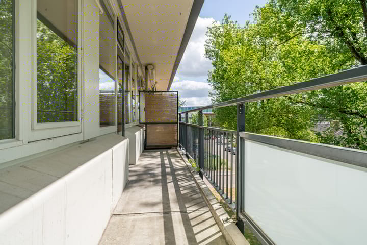 Foto 24 van Spreeuwenstraat 265