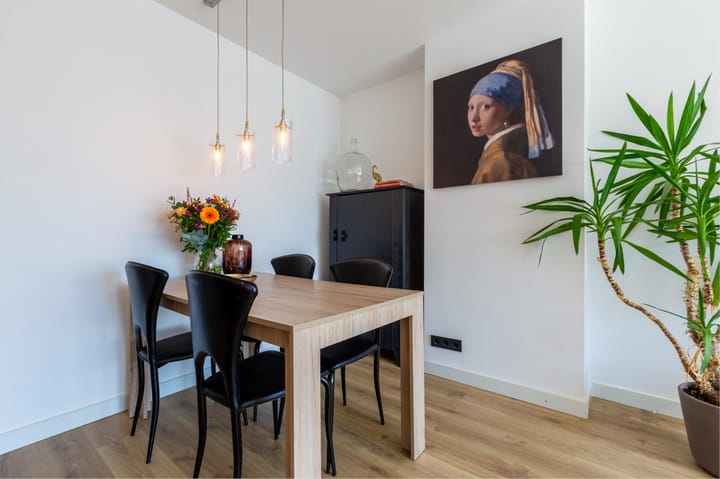 Foto 18 van Aart van der Leeuwstraat 41