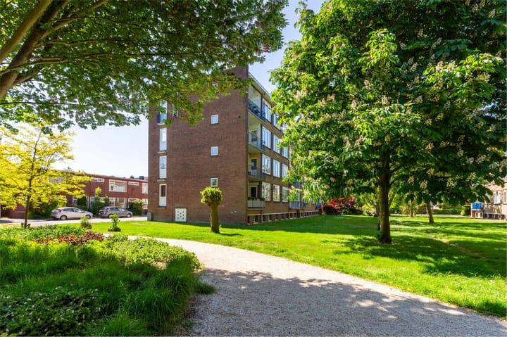 Foto 25 van Aart van der Leeuwstraat 41