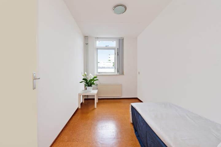 Foto 26 van Hoefsmiderf 6