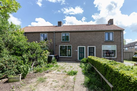 undefined main image