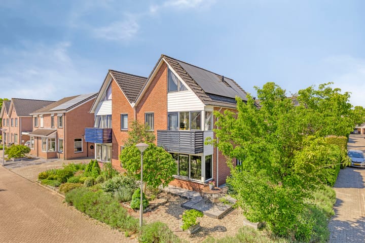 Foto 1 van Fluitekruid 38