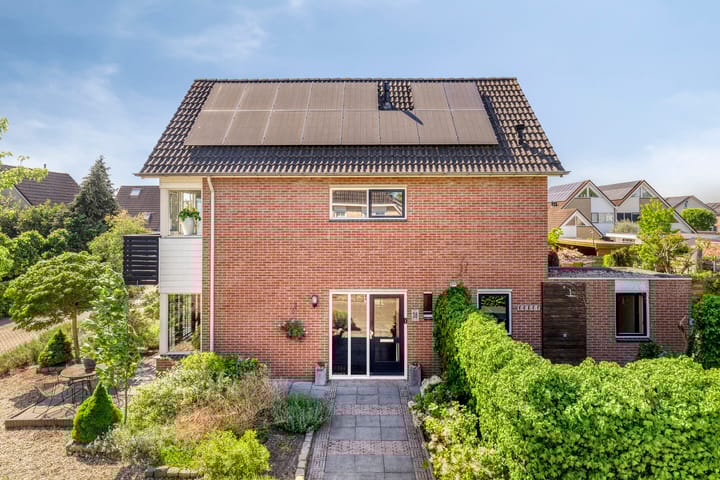 Foto 5 van Fluitekruid 38