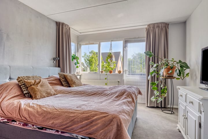 Foto 16 van Fluitekruid 38