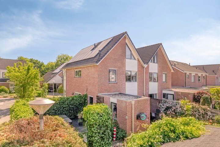 Foto 29 van Fluitekruid 38