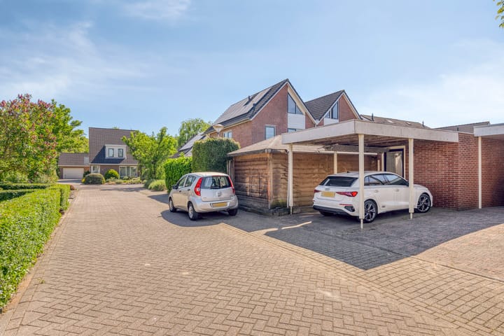 Foto 39 van Fluitekruid 38