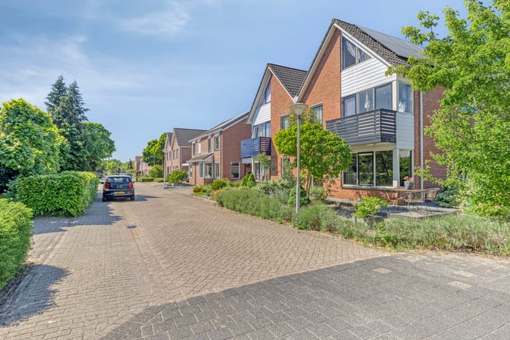 Foto 41 van Fluitekruid 38