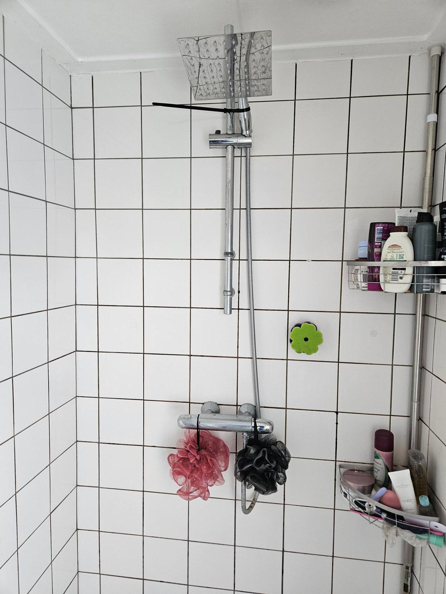 Foto 10 van Noorderkeerkring 48