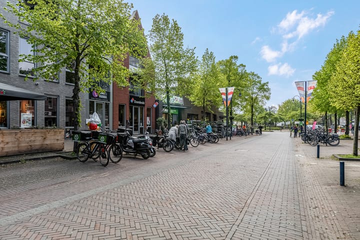 Foto 41 van Dorpsstraat 49-H