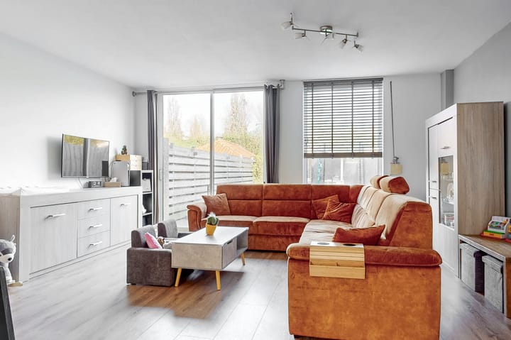 Foto 3 van Goudvink 45