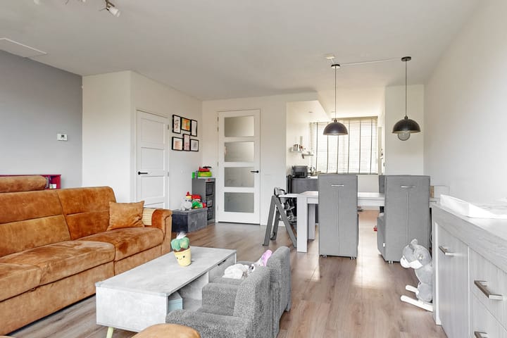 Foto 4 van Goudvink 45