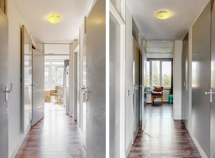 Foto 10 van Goudvink 45