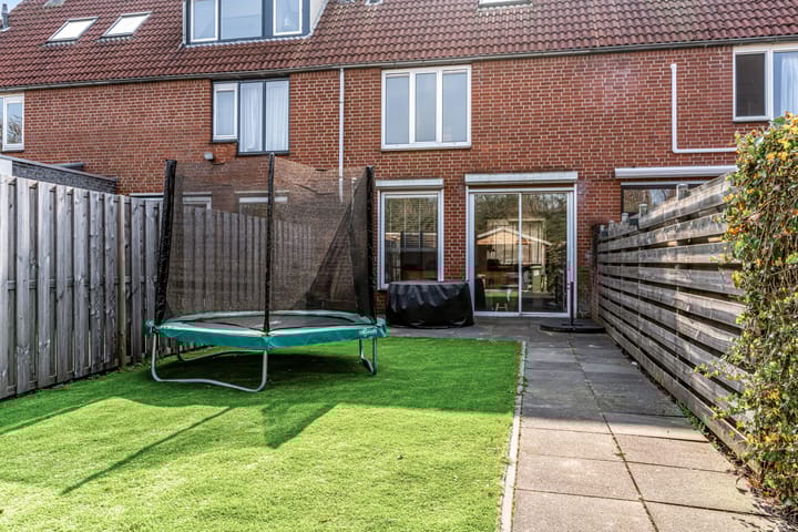 Foto 12 van Goudvink 45