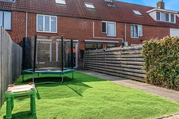 Foto 13 van Goudvink 45