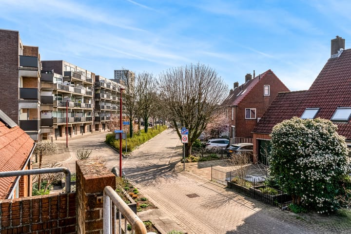 Foto 23 van Goudvink 45