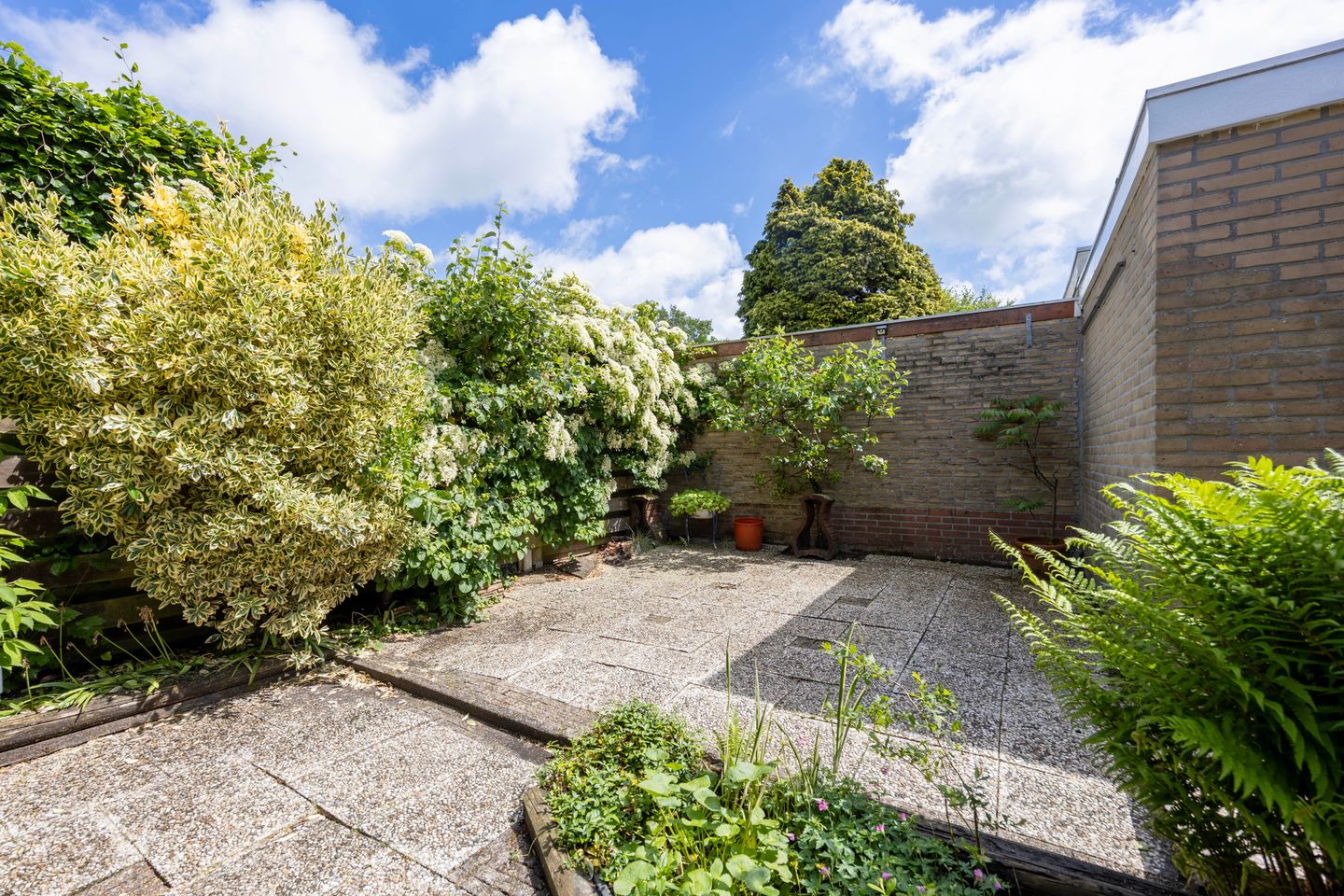 Foto 34 van Middeloolaan 15