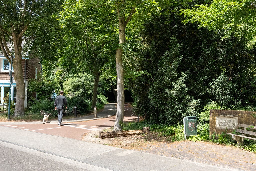 Foto 38 van Bosstraat 30