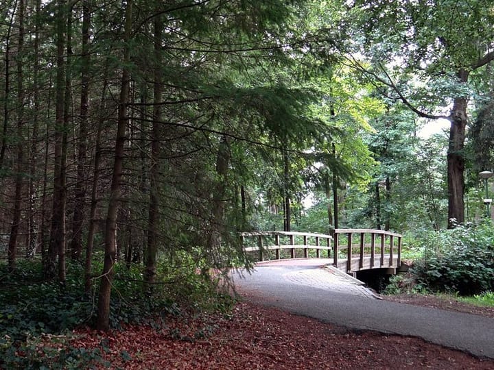 Foto 40 van Bosstraat 30