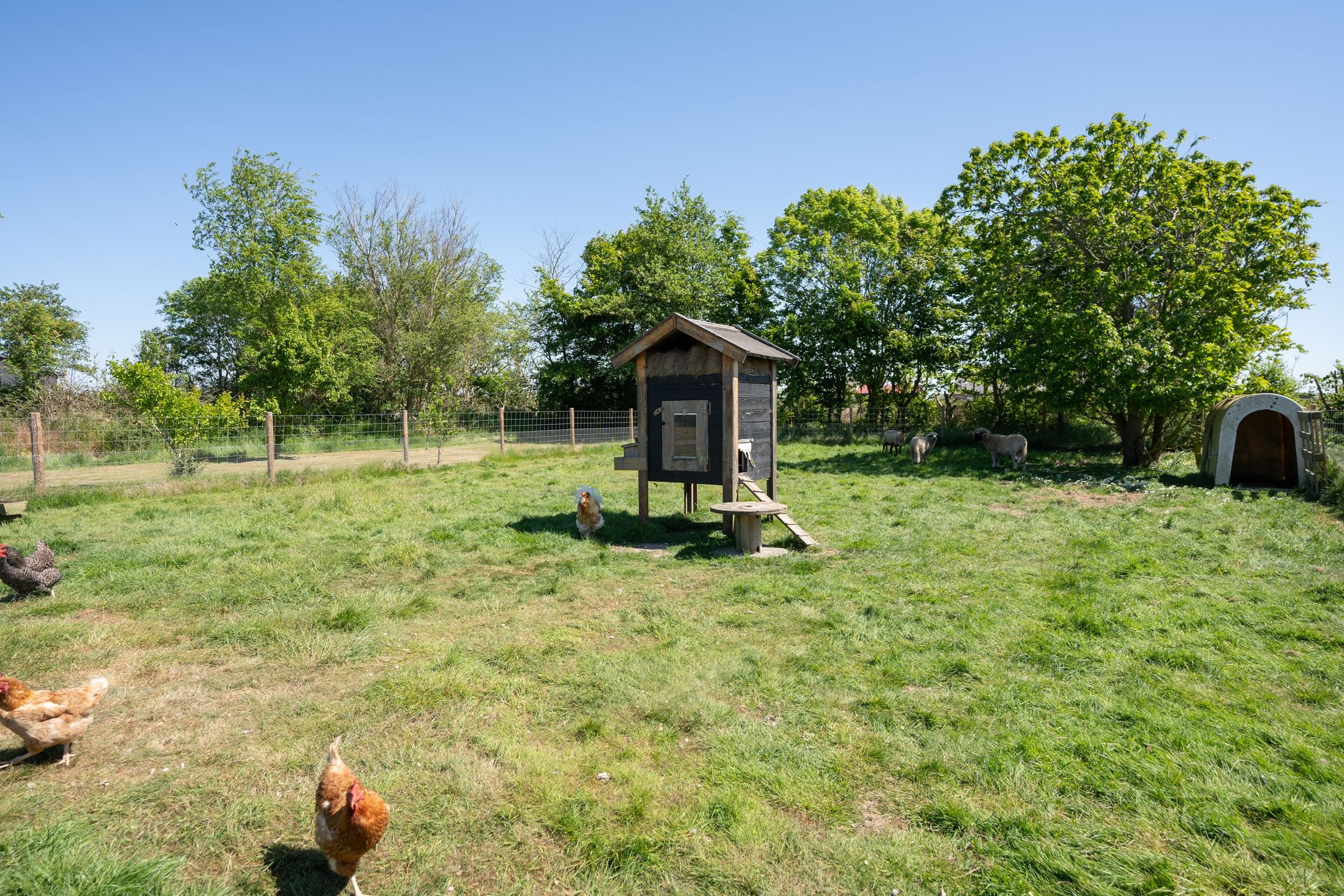 Foto 69 van Spangerweg 6