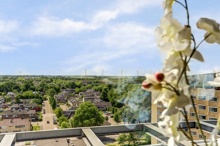 Foto 22 van Goudenregenplein 254