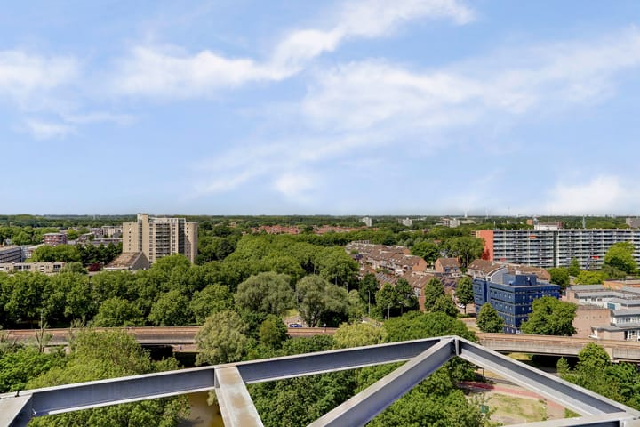 Foto 30 van Goudenregenplein 254