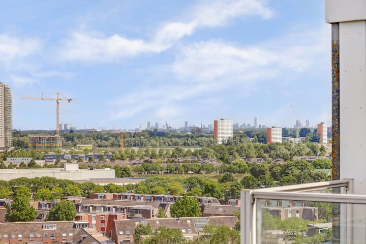 Foto 32 van Goudenregenplein 254