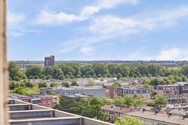 Foto 33 van Goudenregenplein 254