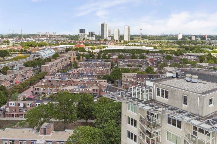 Foto 37 van Goudenregenplein 254