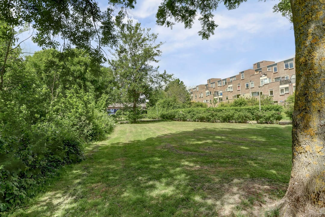 Foto 38 van Goudenregenplein 254