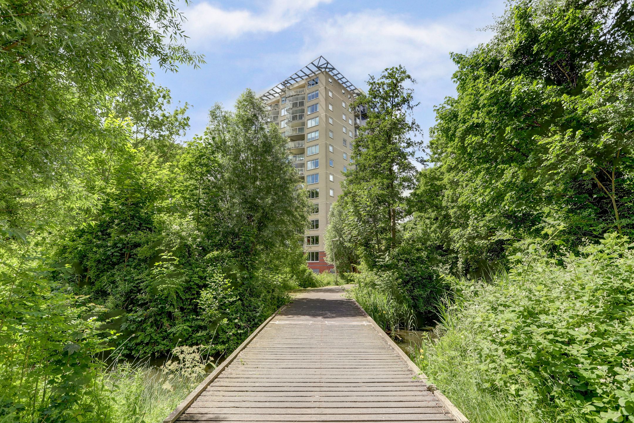 Foto 39 van Goudenregenplein 254