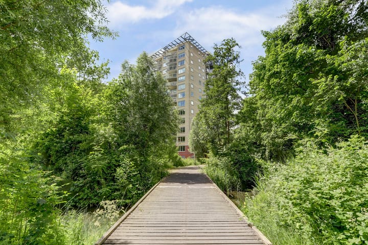 Foto 39 van Goudenregenplein 254