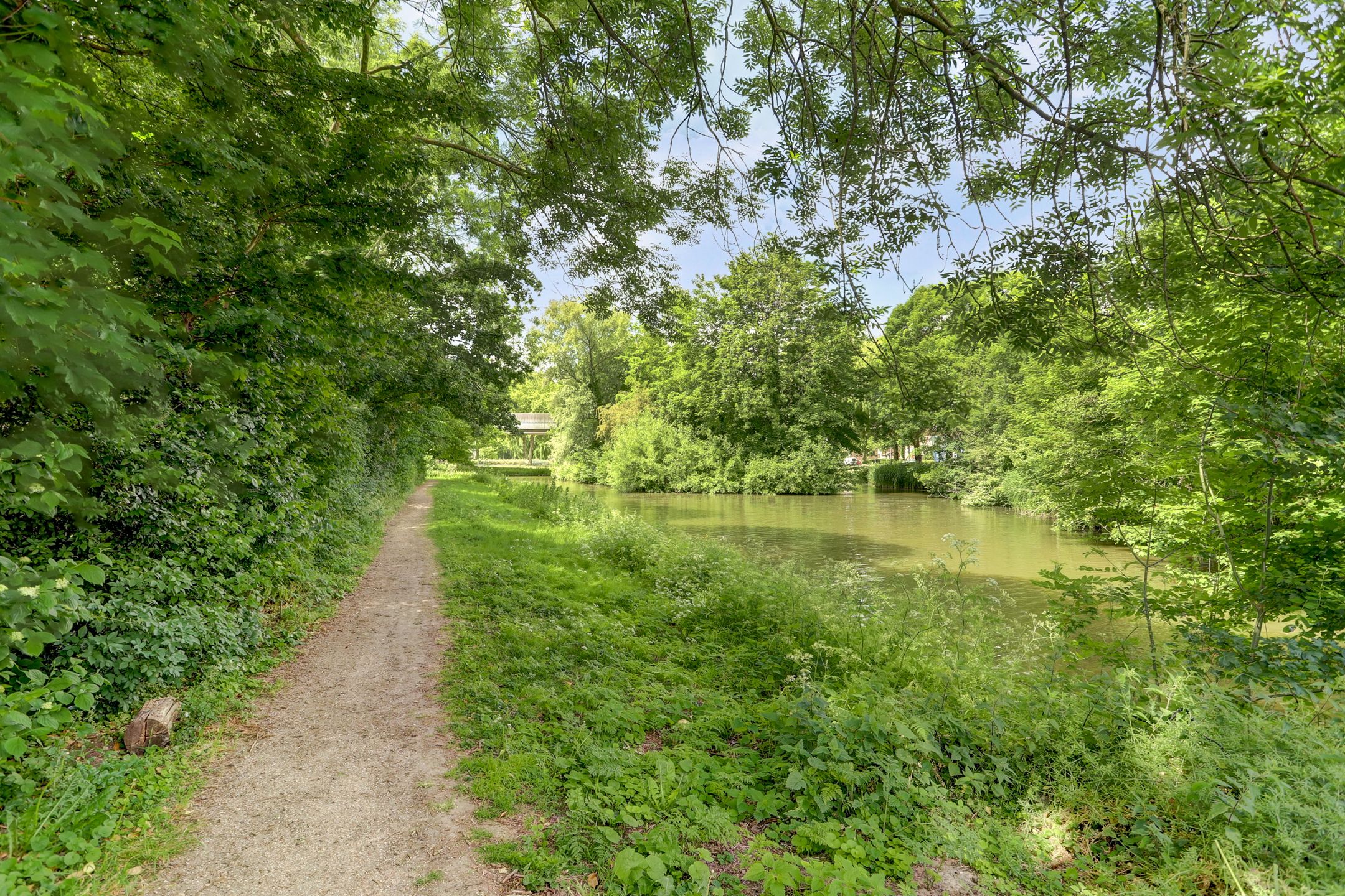 Foto 42 van Goudenregenplein 254